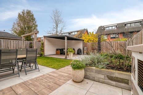 Stekelvaren 14 tertiary image