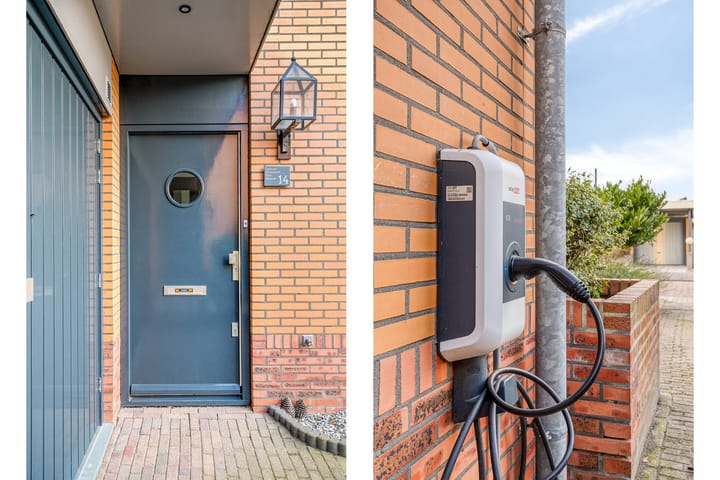 Photo 4 of Stekelvaren 14