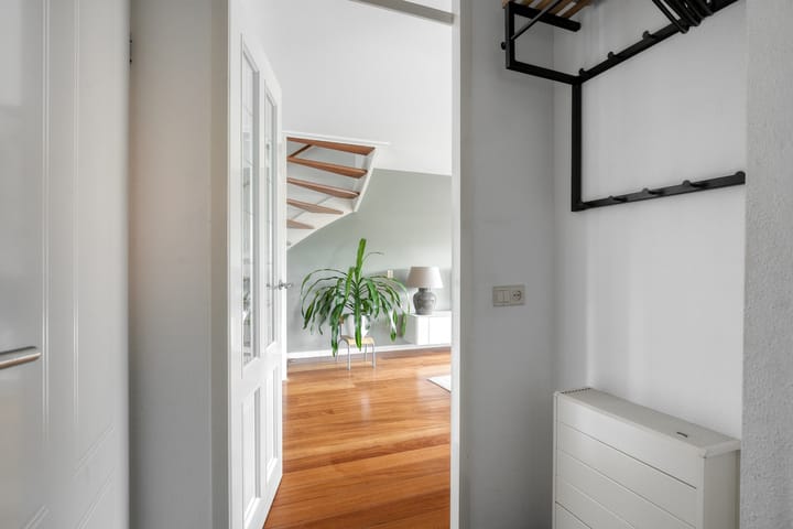 Photo 5 of Stekelvaren 14