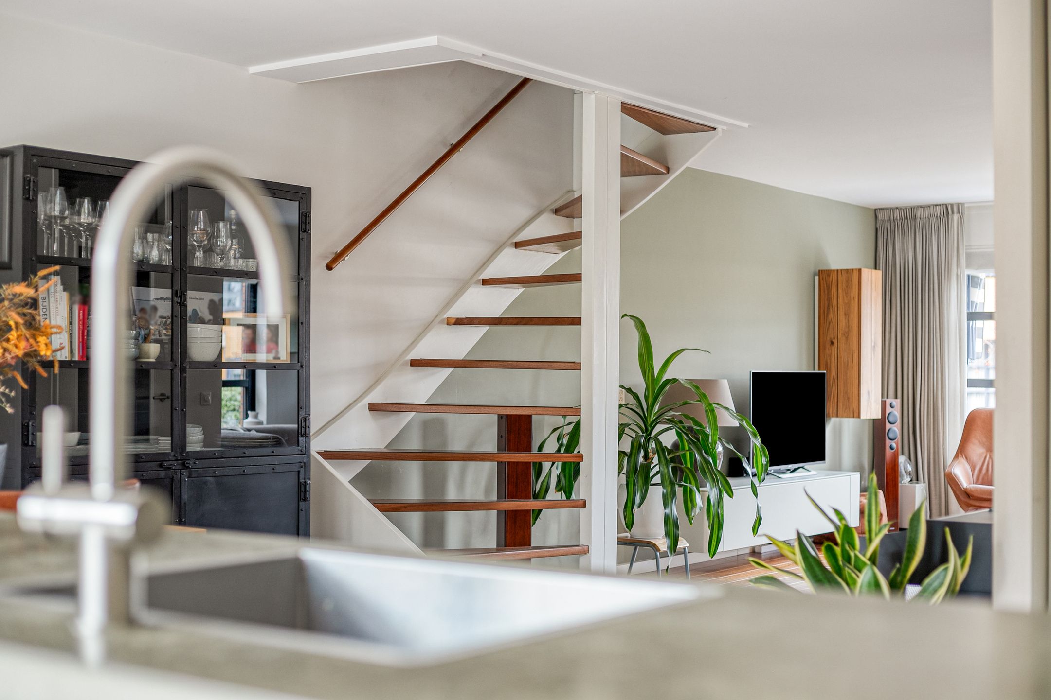 Photo 12 of Stekelvaren 14