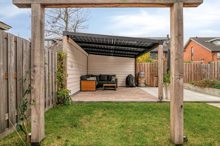 Photo 15 of Stekelvaren 14