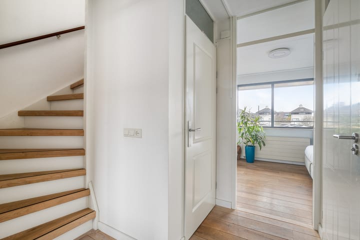 Photo 20 of Stekelvaren 14