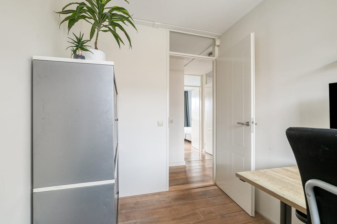 Photo 28 of Stekelvaren 14