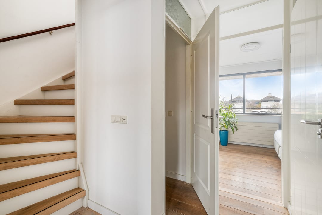 Photo 31 of Stekelvaren 14