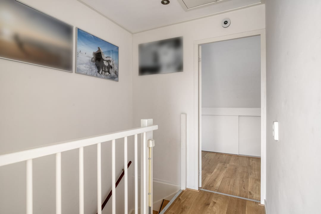 Photo 32 of Stekelvaren 14