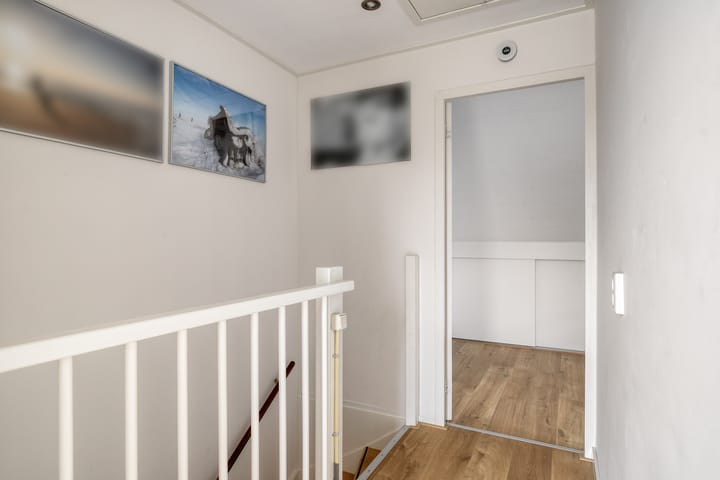 Photo 32 of Stekelvaren 14