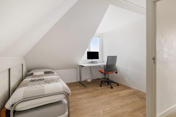 Photo 33 of Stekelvaren 14