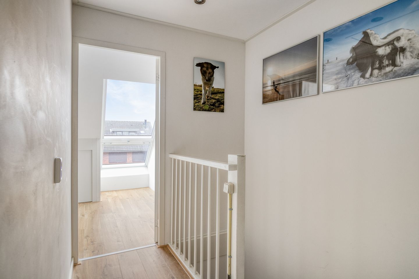 Photo 35 of Stekelvaren 14