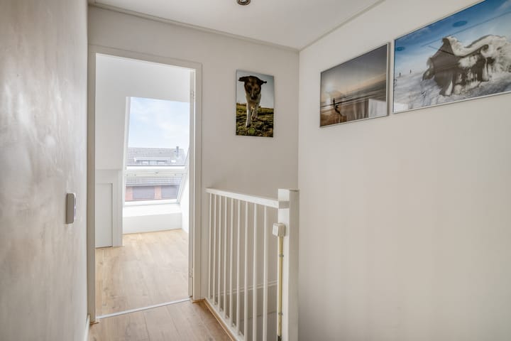 Photo 35 of Stekelvaren 14