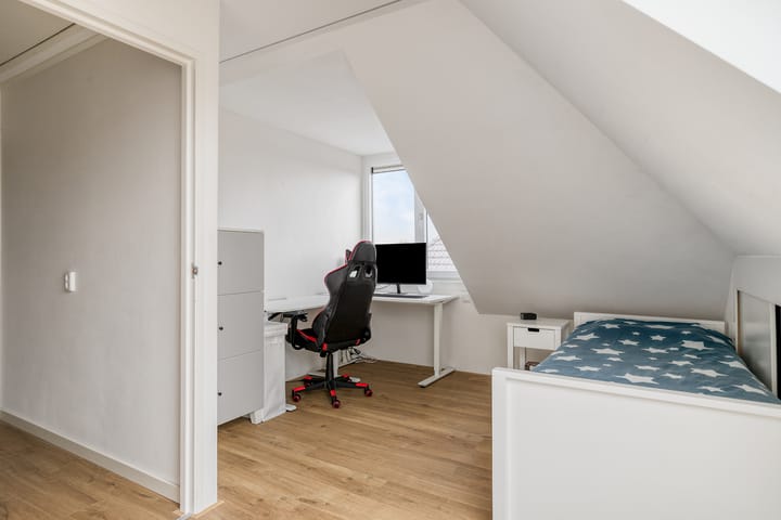 Photo 36 of Stekelvaren 14