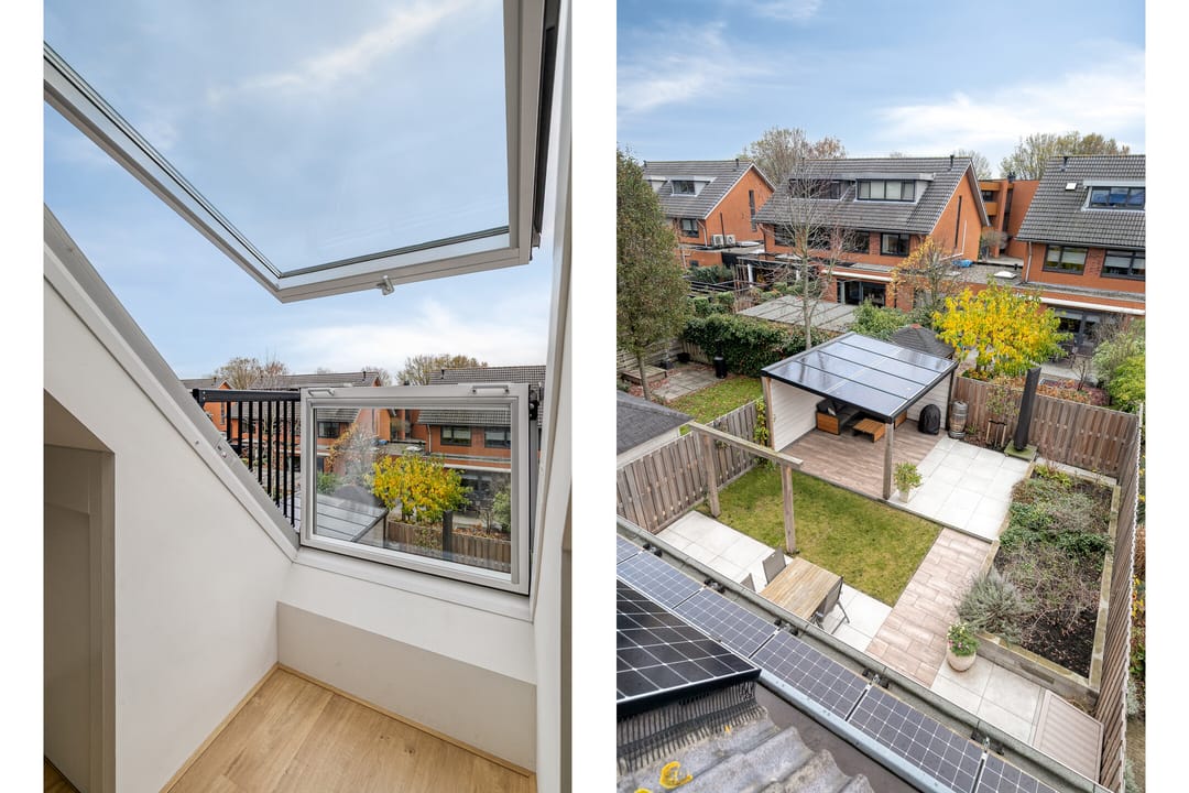 Photo 37 of Stekelvaren 14