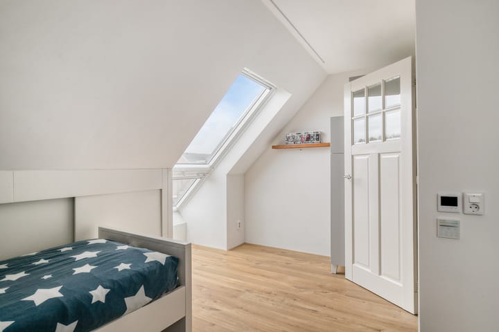 Photo 38 of Stekelvaren 14