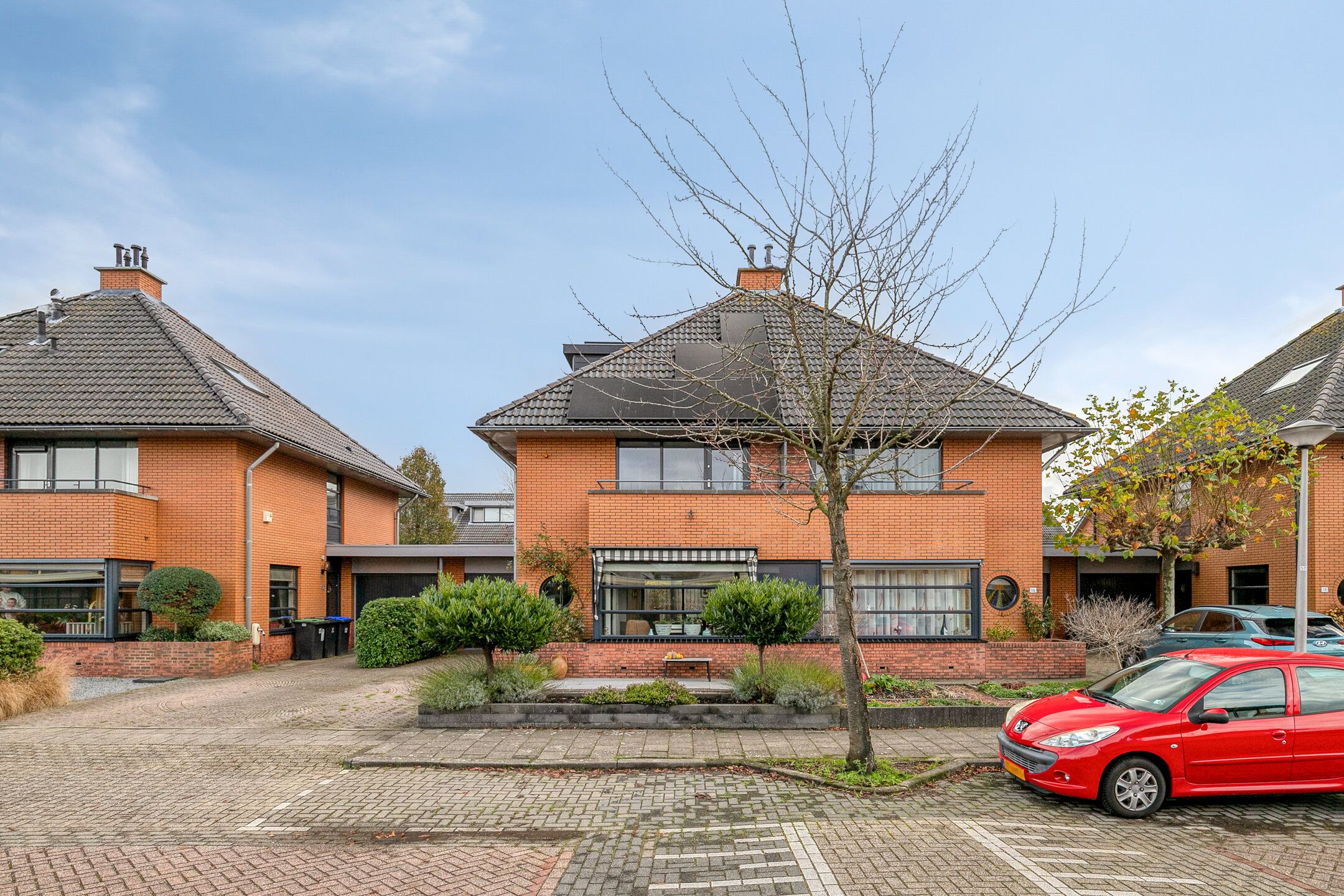 Photo 39 of Stekelvaren 14