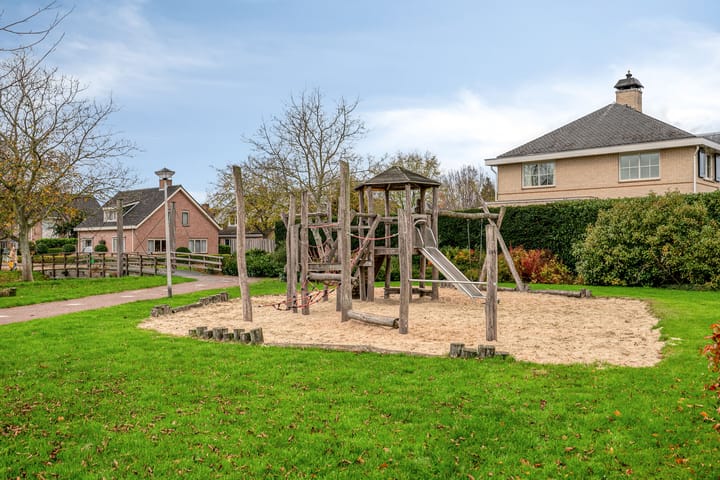 Photo 40 of Stekelvaren 14