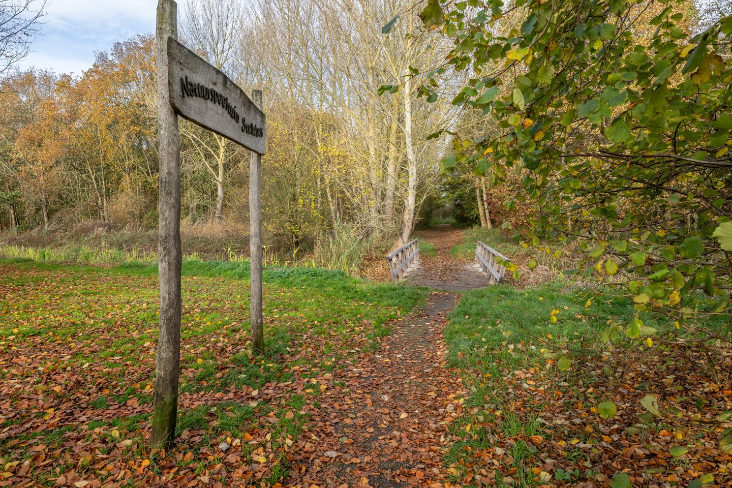 Photo 29 of Schoolstraat 57