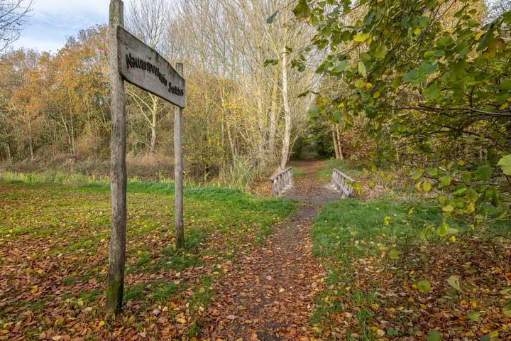 Photo 29 of Schoolstraat 57