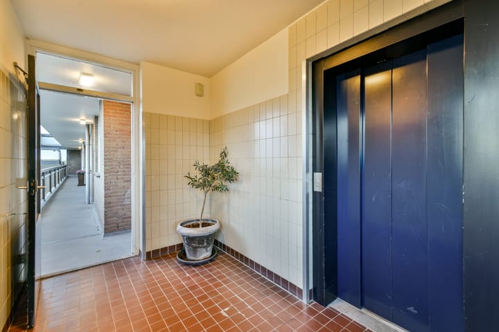 Photo 5 of Bolestein 280