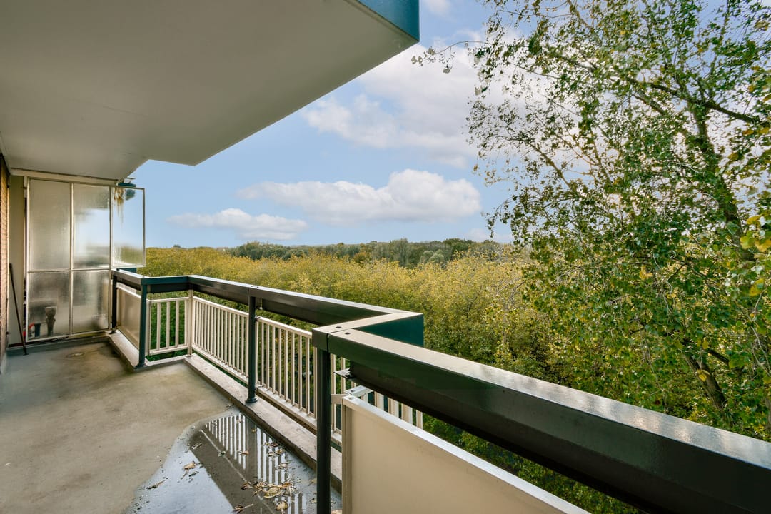 Foto 16 van Bolestein 280