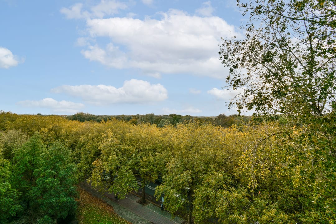 Foto 17 van Bolestein 280