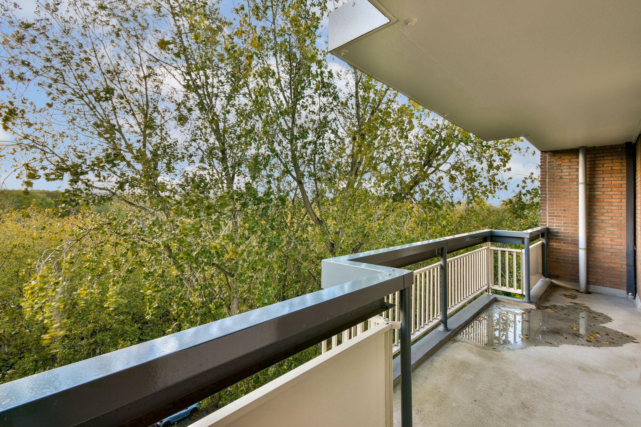 Foto 18 van Bolestein 280