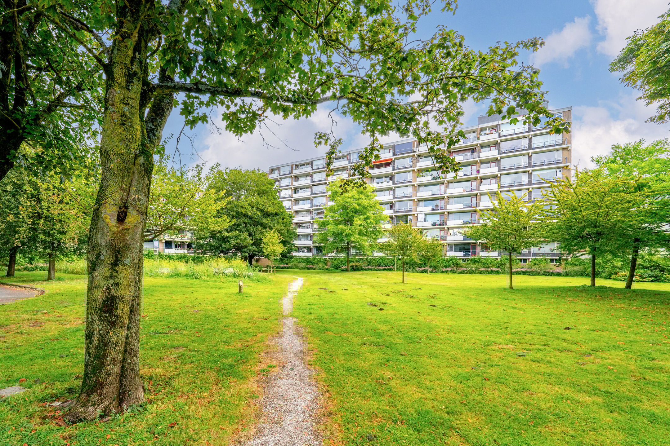 Photo 3 of Martin Luther Kinglaan 254