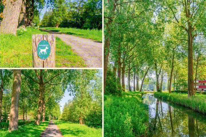 Foto 44 van Martin Luther Kinglaan 254