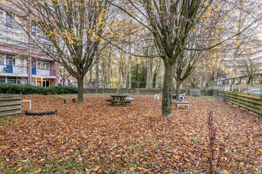 Foto 28 van Van 't Hoffstraat 79