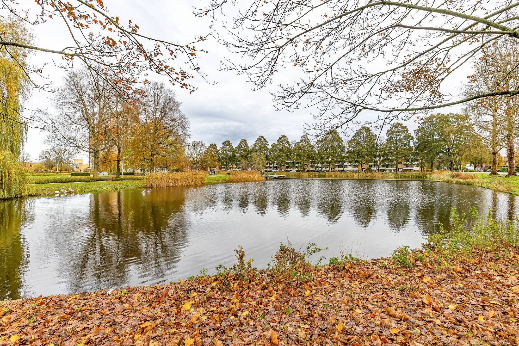 Foto 39 van Van Ketwich Verschuurlaan 147