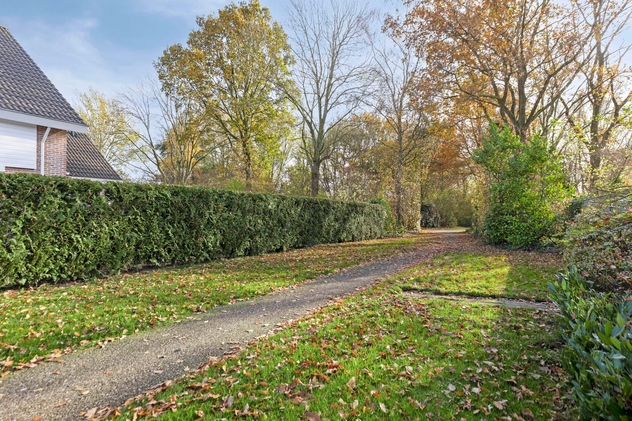 Foto 33 van Stoofboogerd 4