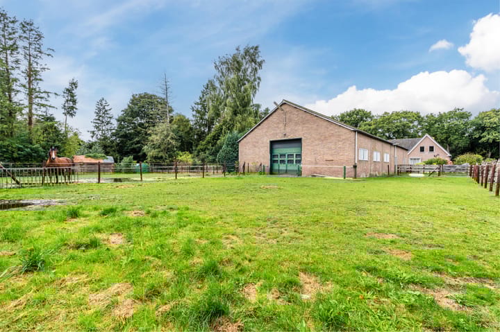 Foto 51 van Noorderdiep 256