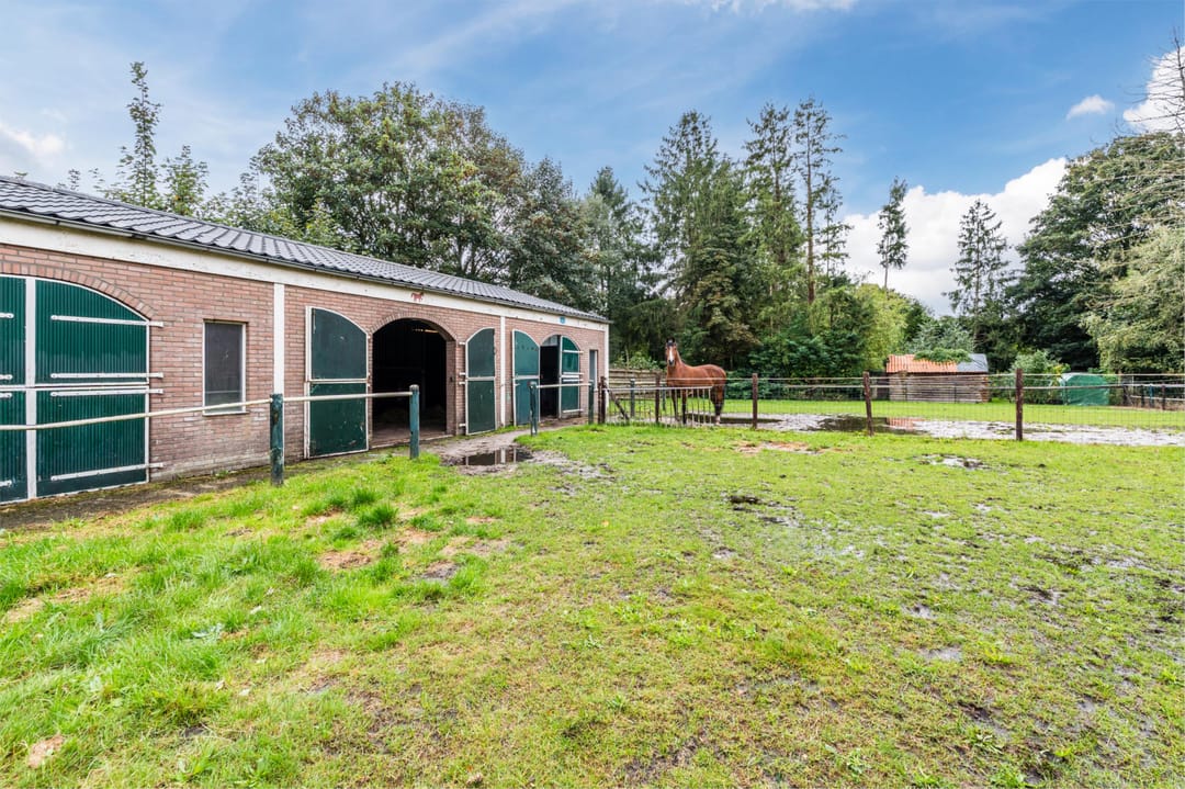 Photo 52 of Noorderdiep 256