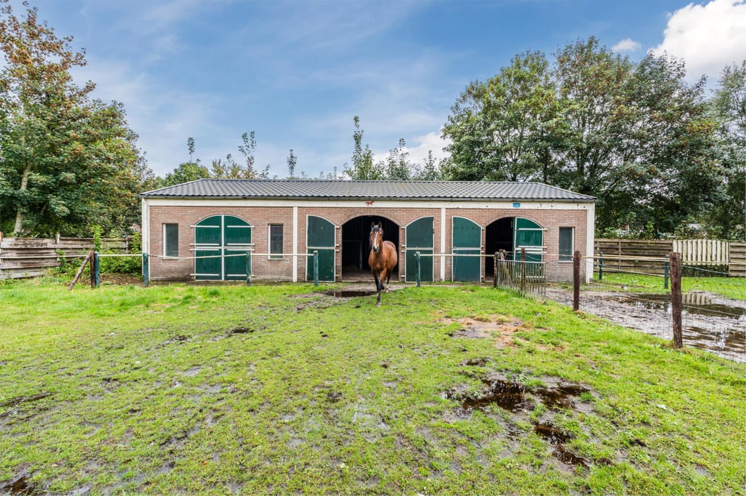 Photo 53 of Noorderdiep 256