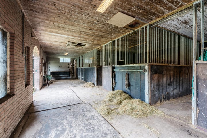 Foto 54 van Noorderdiep 256