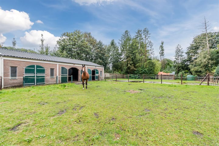 Foto 58 van Noorderdiep 256