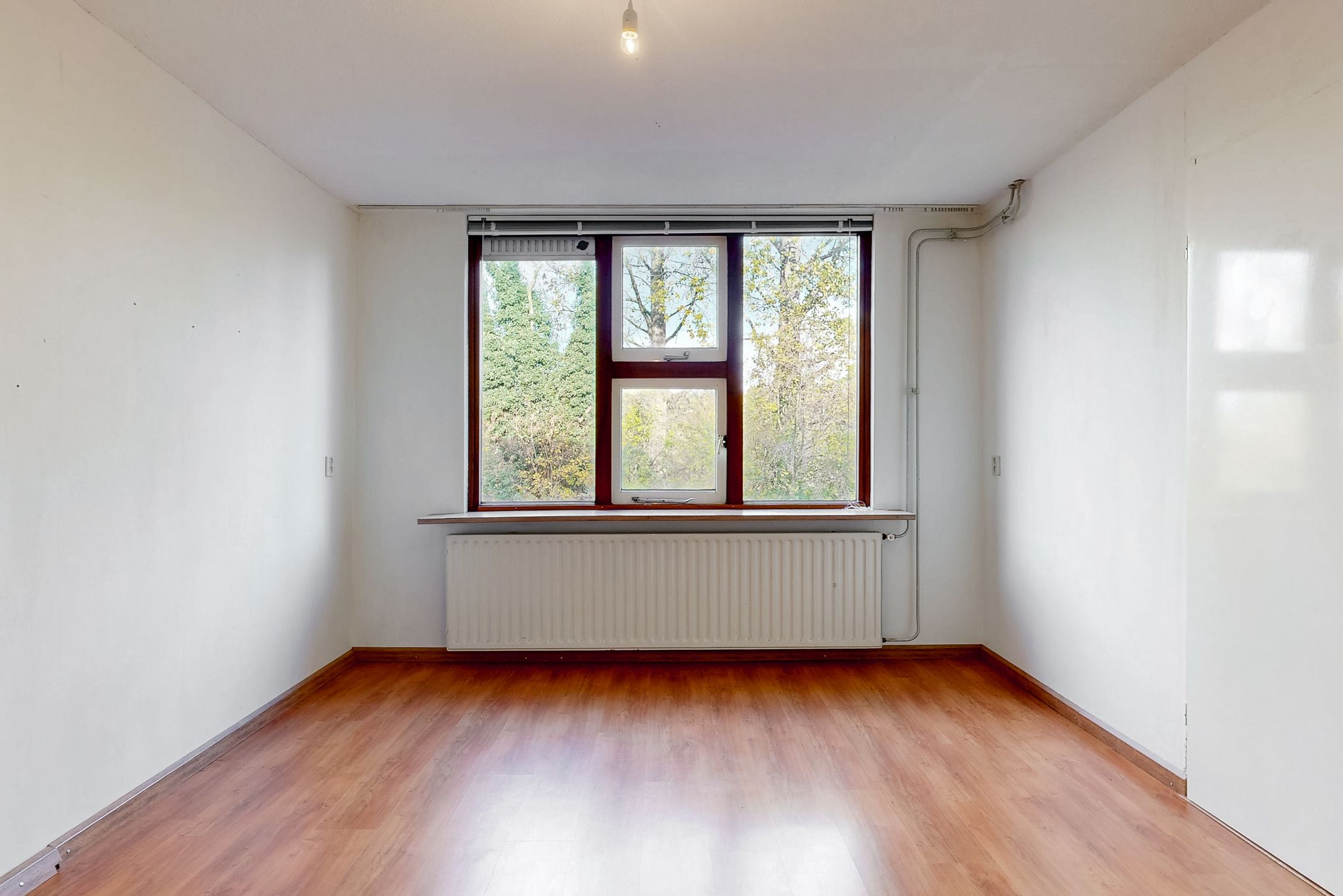 Photo 15 of Oliemolen 137