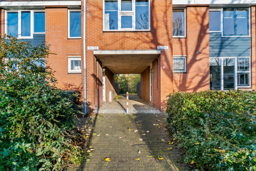 Photo 28 of Oliemolen 137