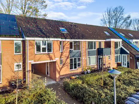 undefined main image