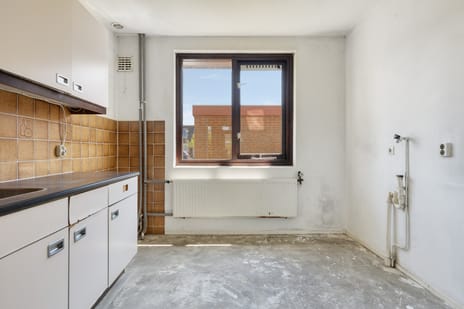 Pluimgras 45 tertiary image