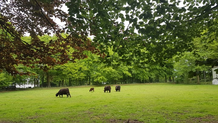 Foto 5 van Kasteellaan 20-A