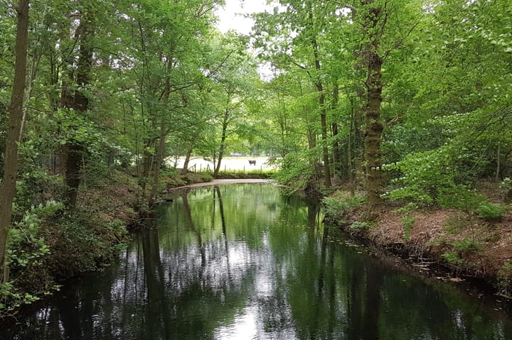 Foto 6 van Kasteellaan 20-A