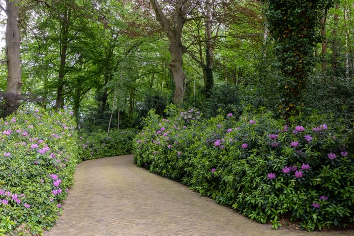 Foto 8 van Kasteellaan 20-A