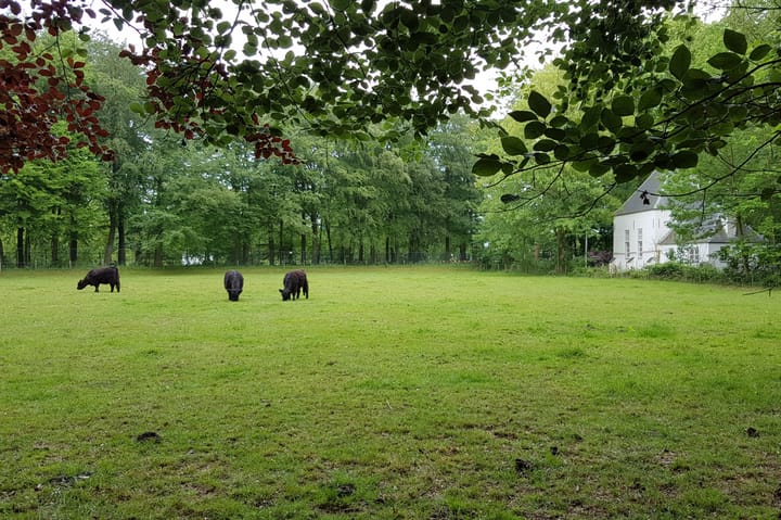 Foto 41 van Kasteellaan 20-A