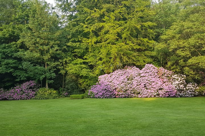 Foto 42 van Kasteellaan 20-A