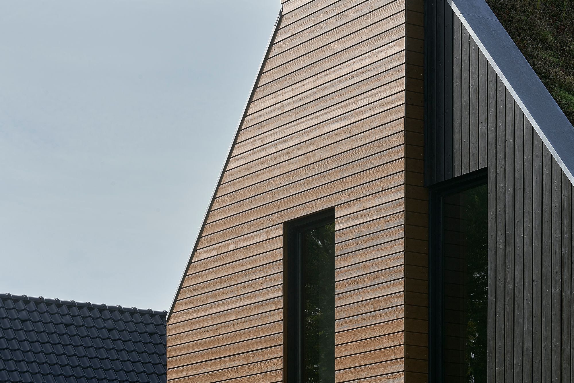 Foto 36 van it Fjild 12