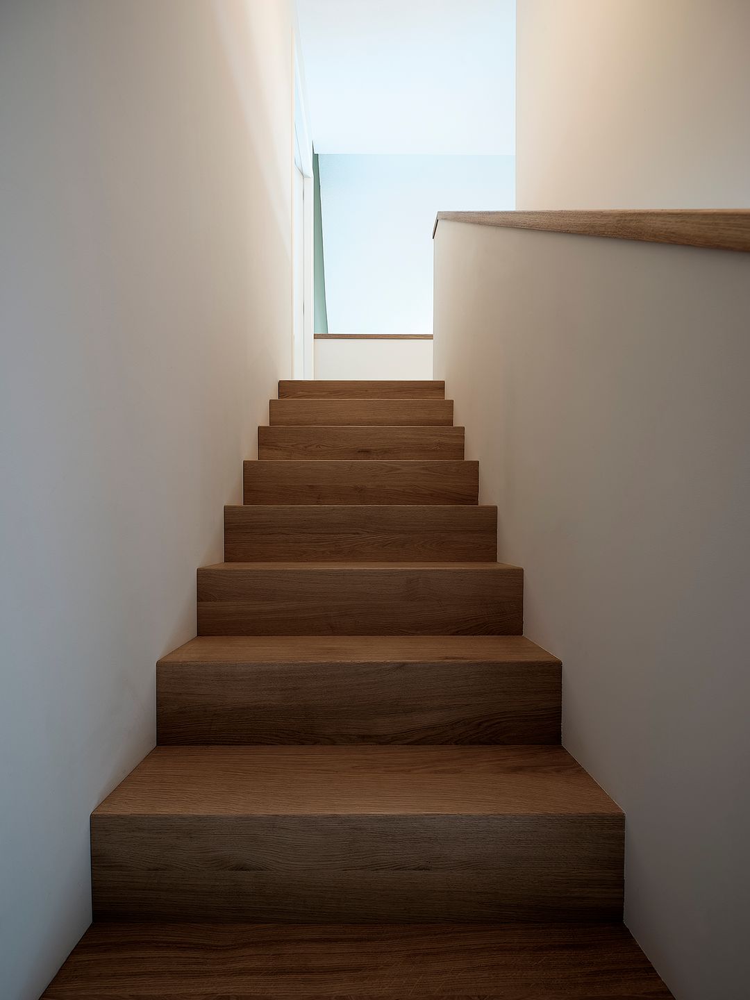 Foto 26 van it Fjild 12