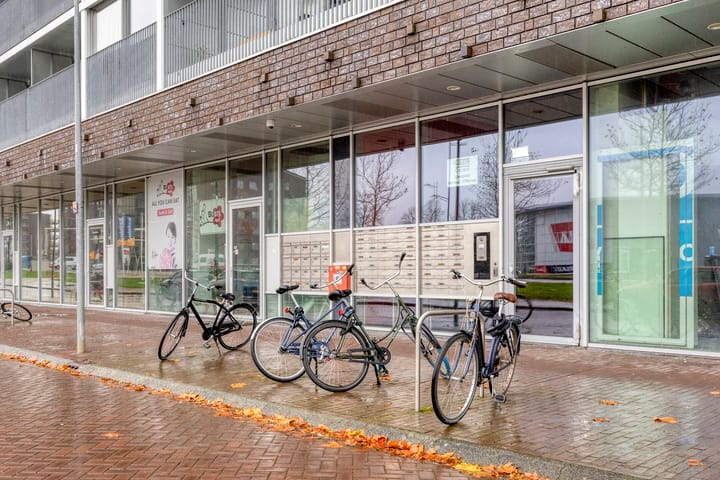 Photo 7 of Het Hout 100