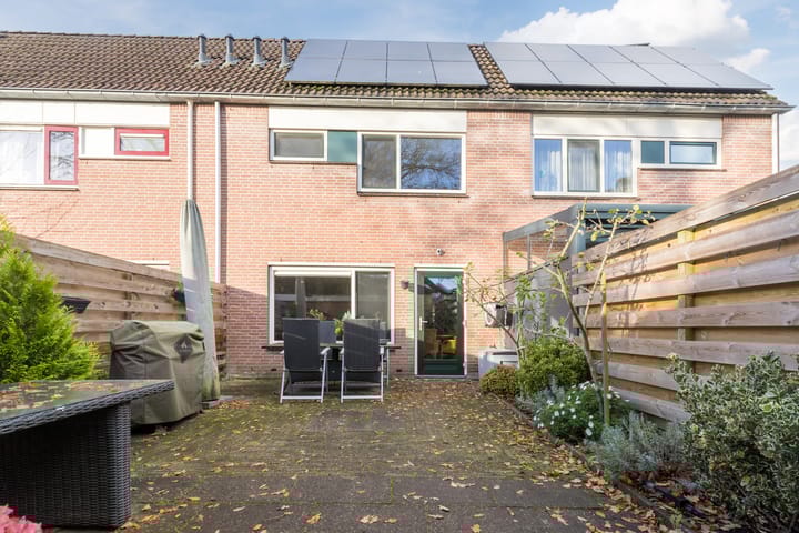 Foto 4 van Trasmolen 67