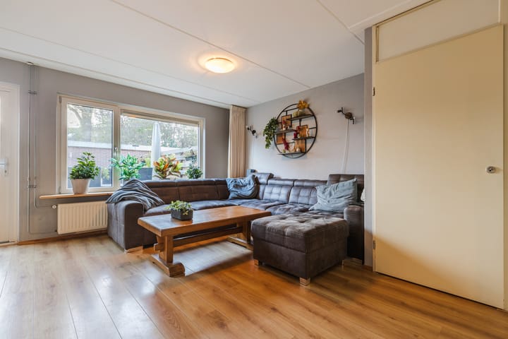 Foto 5 van Trasmolen 67