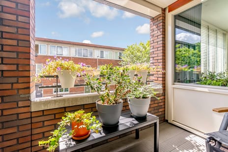 Molukkenstraat 21 tertiary image