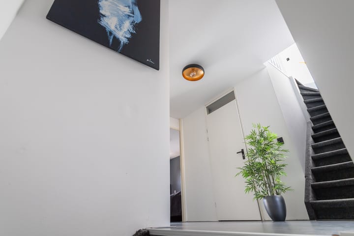 Foto 23 van Dokhof 37